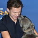 (Photo: Anthony Harvey/Getty Images)